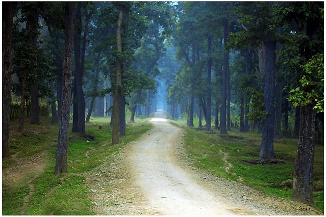 Bardiya National Park